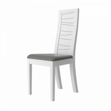 SCI_19SA2521 | TIAGO - lot de 2 chaises n°.21  avec assise grise | Belfurn