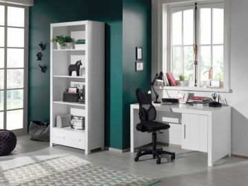 bureau en bibliotheek ERIk